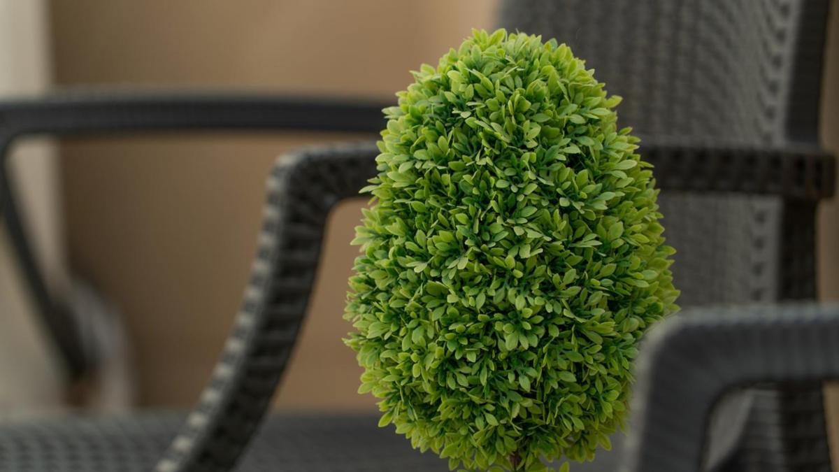Rapisardi By Receptio Appartement Catane